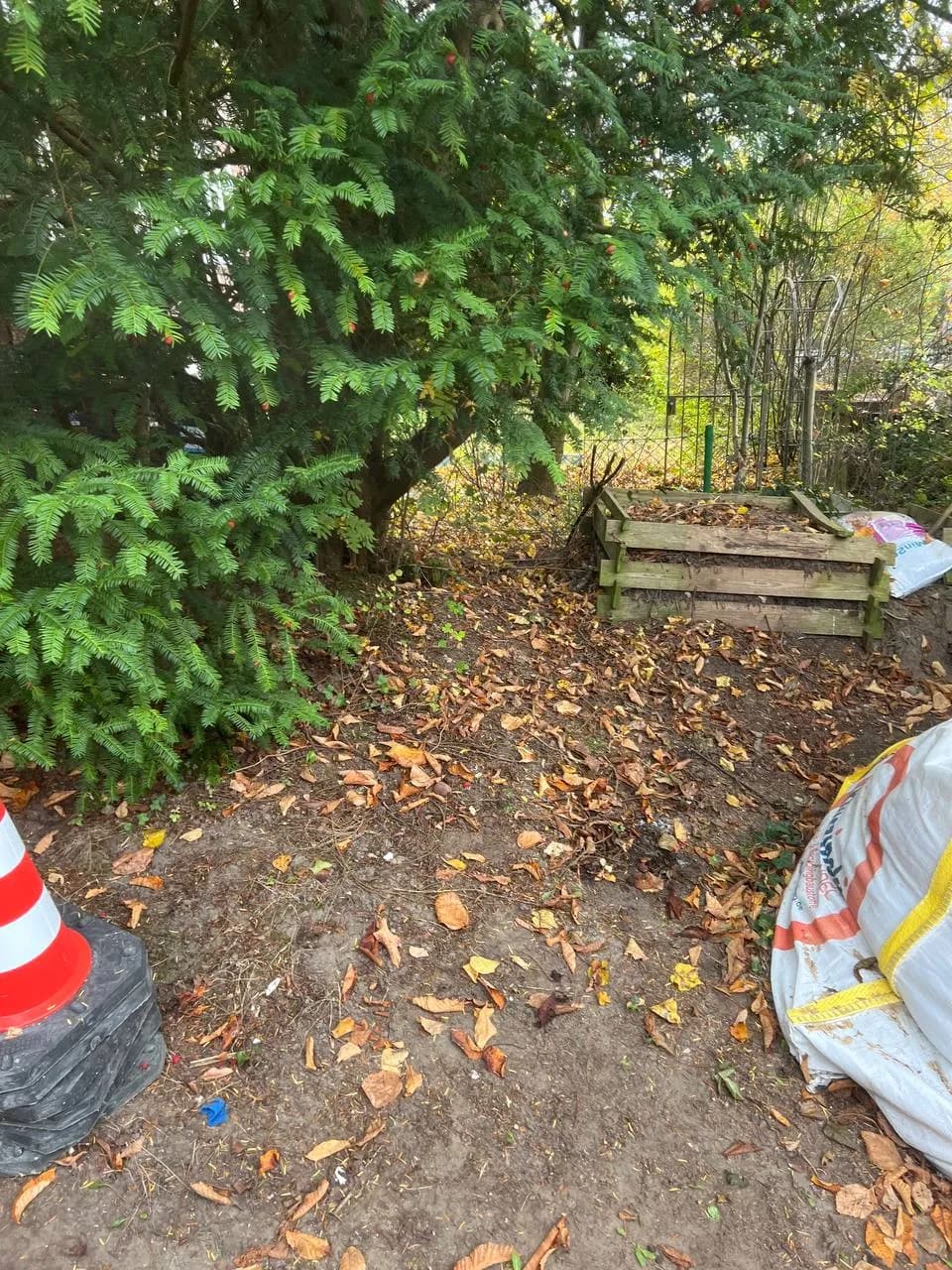 Garten Projekt 10