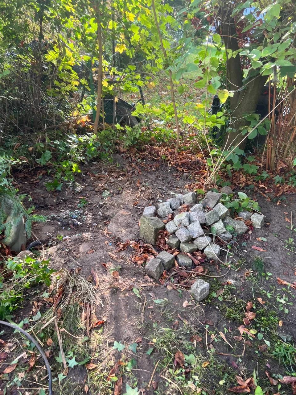 Garten Projekt 2