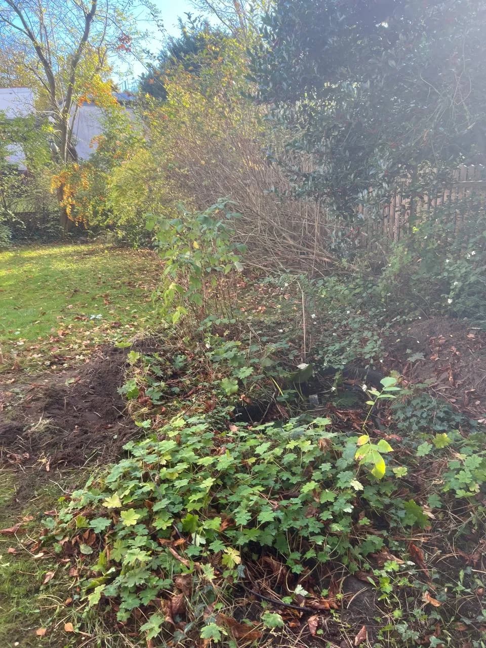 Garten Projekt 3