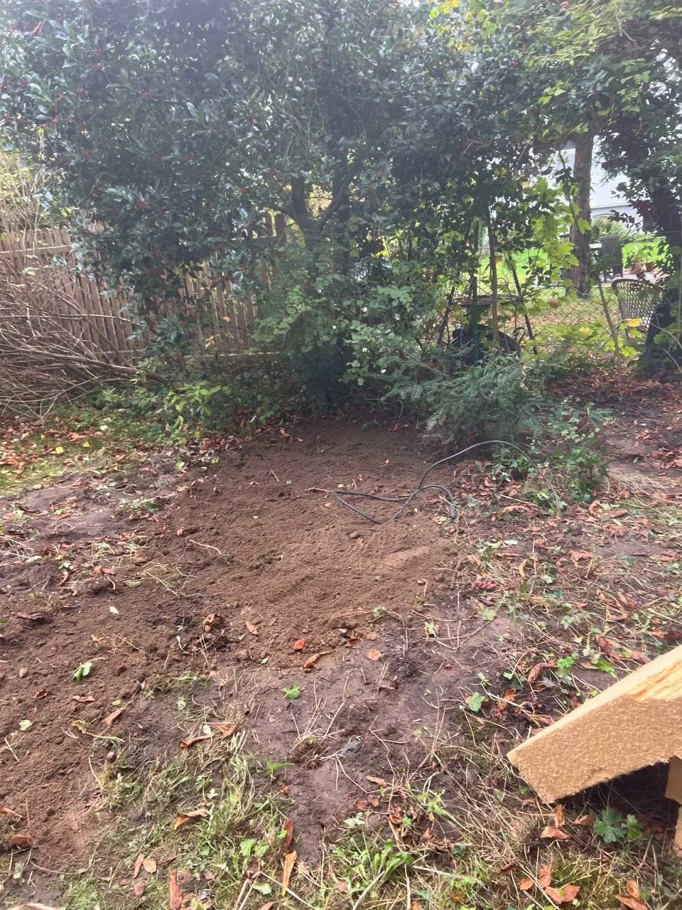 Garten Projekt 5
