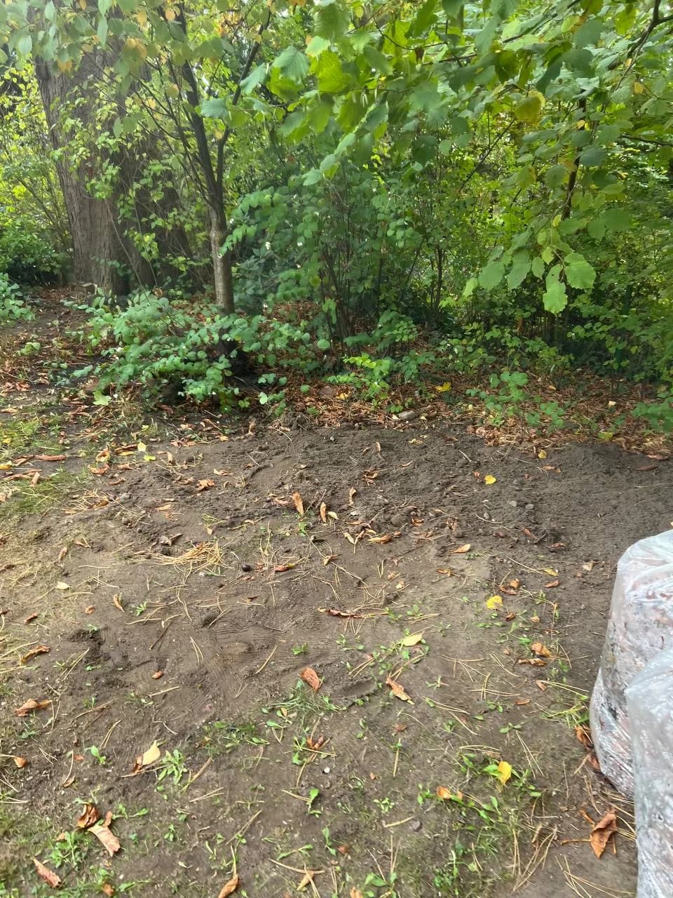 Garten Projekt 6