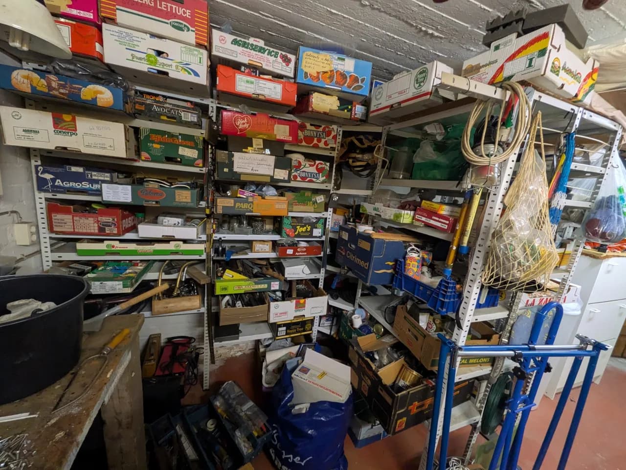 Regalwand im Keller in Fuhlsbüttel mit Dutzenden Obst- und Gemüsekartons voller Werkzeug, Schrauben und Elektromaterial