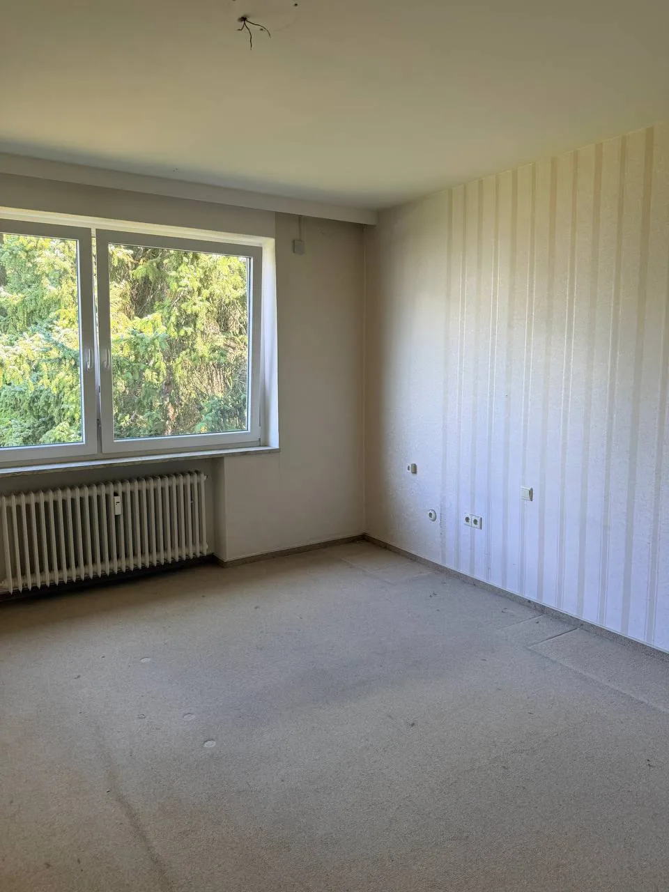 Leeres Schlafzimmer mit Fenster, Heizkörper und Teppichboden in Hamburg-Wandsbek